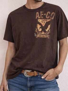 American Eagle Outfitters Brown Short-Sleeve Graphic Tee